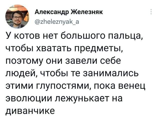 Подборка забавных твитов обо всем