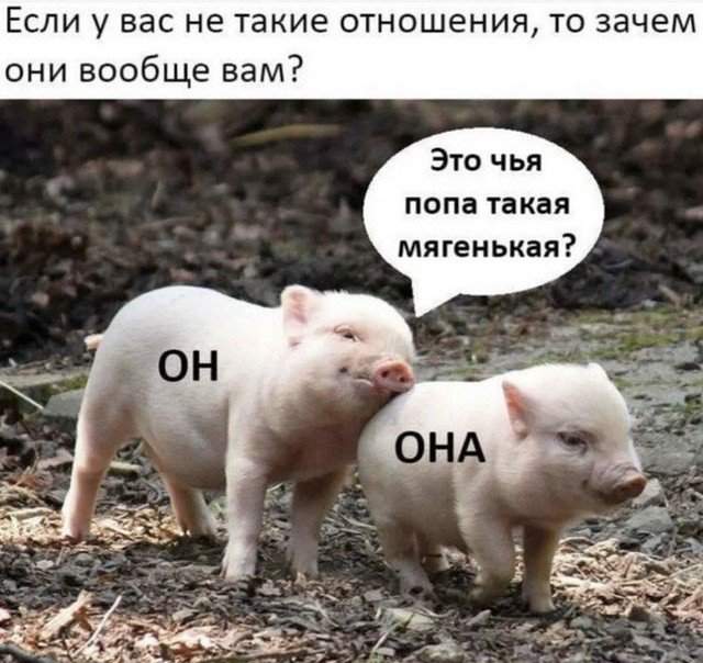 Лучшие шутки и мемы из Сети - 21.06.2022