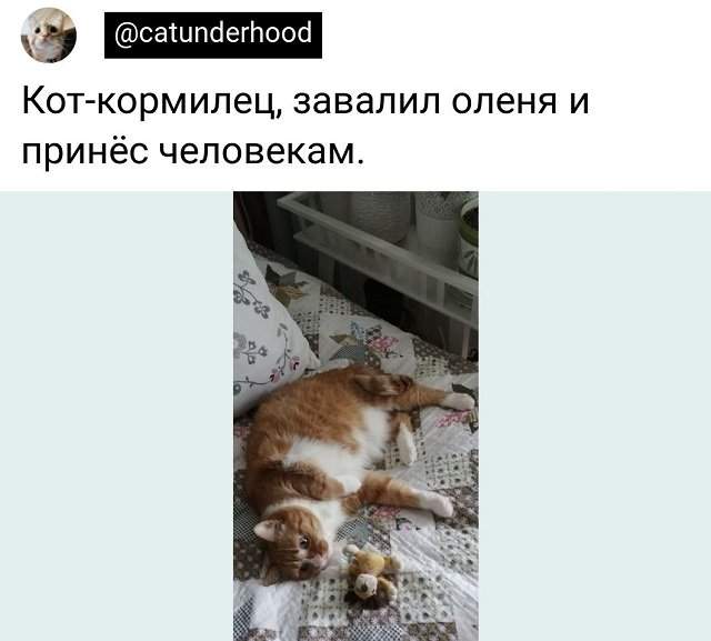 Подборка забавных твитов обо всем Подборка забавных твитов обо всем