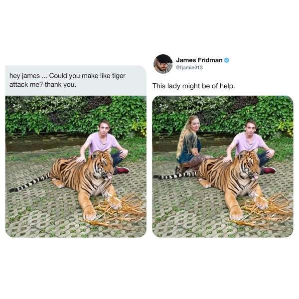 Привет, Джеймс! Можешь сделать так, чтобы тигр как бы нападал на меня?