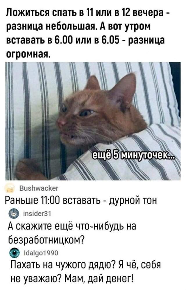 Смешные комментарии