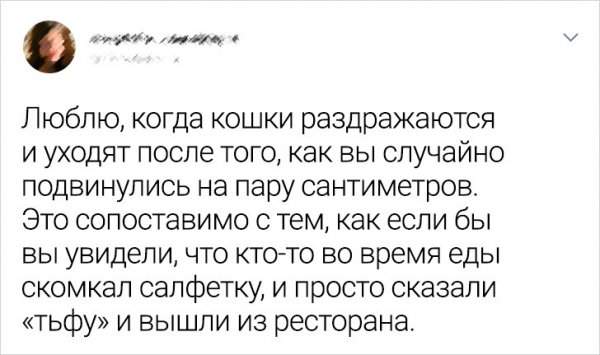 Подборка забавных твитов