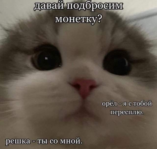 Мемы и приколы про &quot;это&quot;