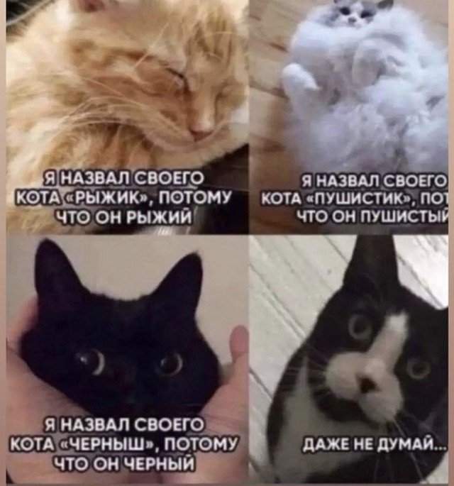 Лучшие шутки и мемы из Сети - 04.08.2022