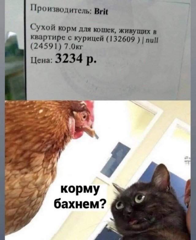 Лучшие шутки и мемы из Сети - 04.08.2022