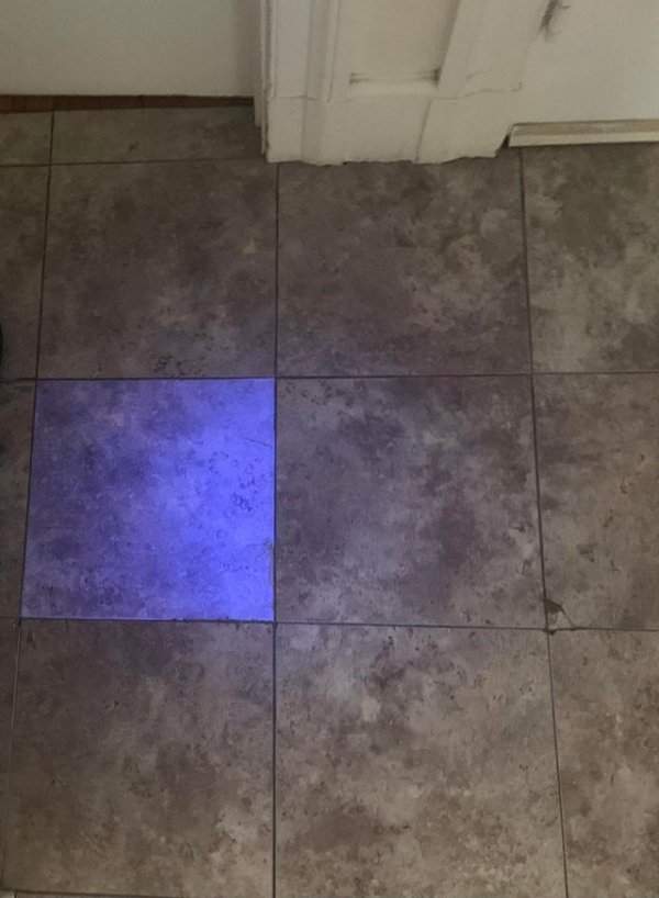 Одна из виниловых напольных плиток в нашем коридоре светится в ультрафиолете