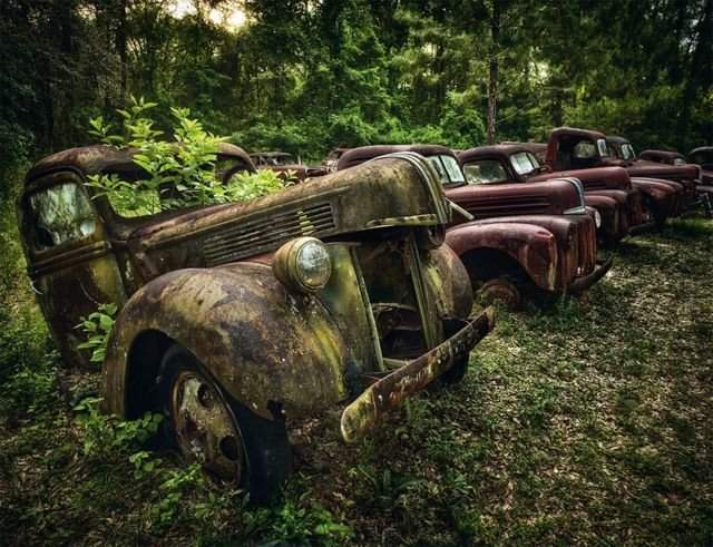 &quot;Кладбище&quot; ретро-автомобилей в шотландском лесу