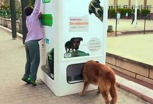 Этот торговый автомат в Стамбуле выдаёт корм для бездомных собак, когда люди сдают бутылки на переработку