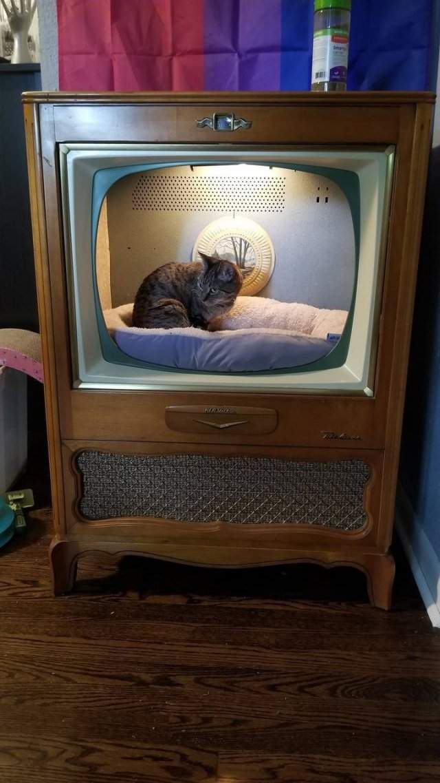 Хозяин позаботился о своей кошке и сделал домик из старого телевизора