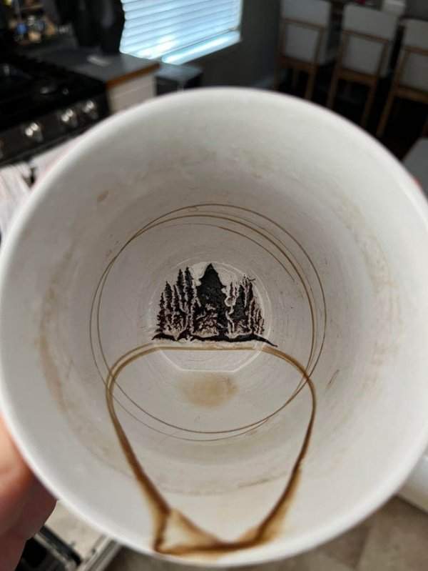 Картина соснового леса осталась на дне кружки после выпитого кофе