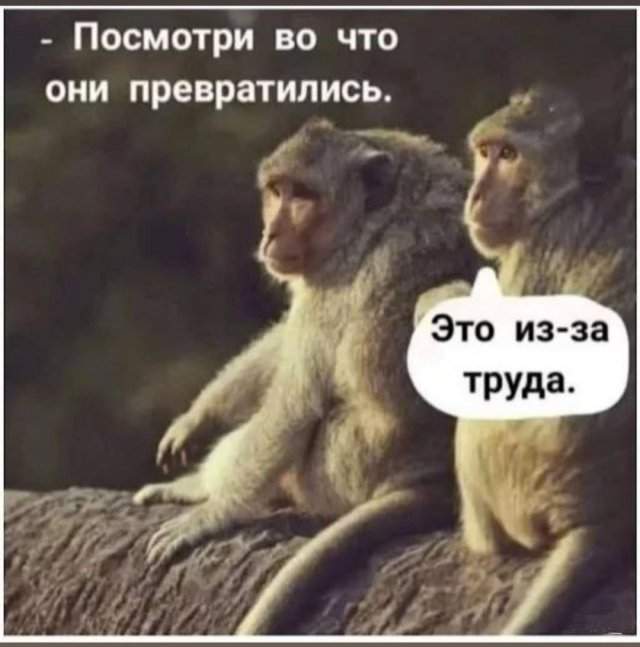 Лучшие шутки и мемы из Сети - 05.09.2022