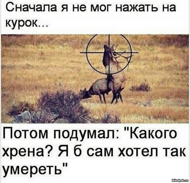 Немного странный и черный юмор