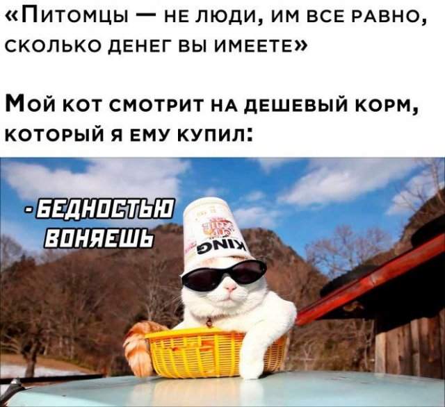 Лучшие шутки и мемы из Сети - 06.09.2022