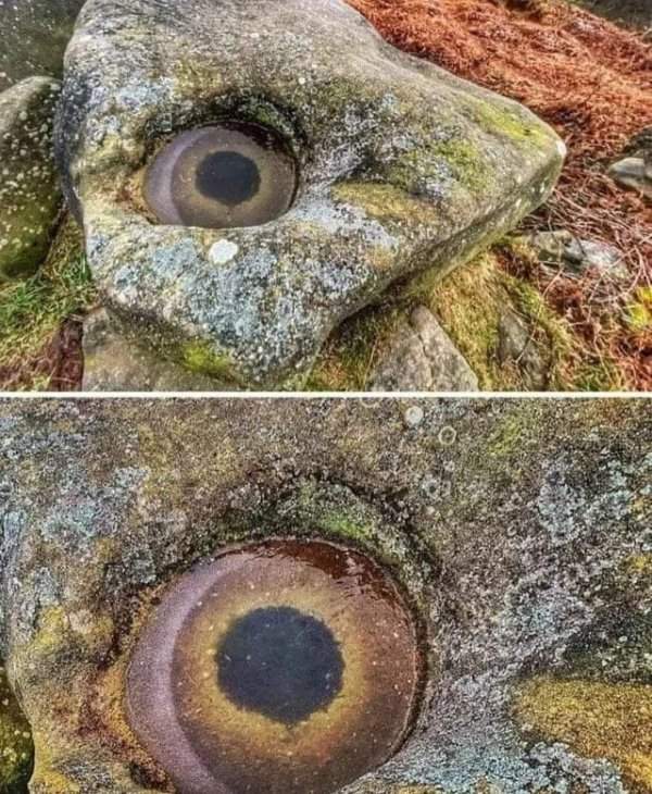 Рыбий глаз на камне? Нет, просто образование инея