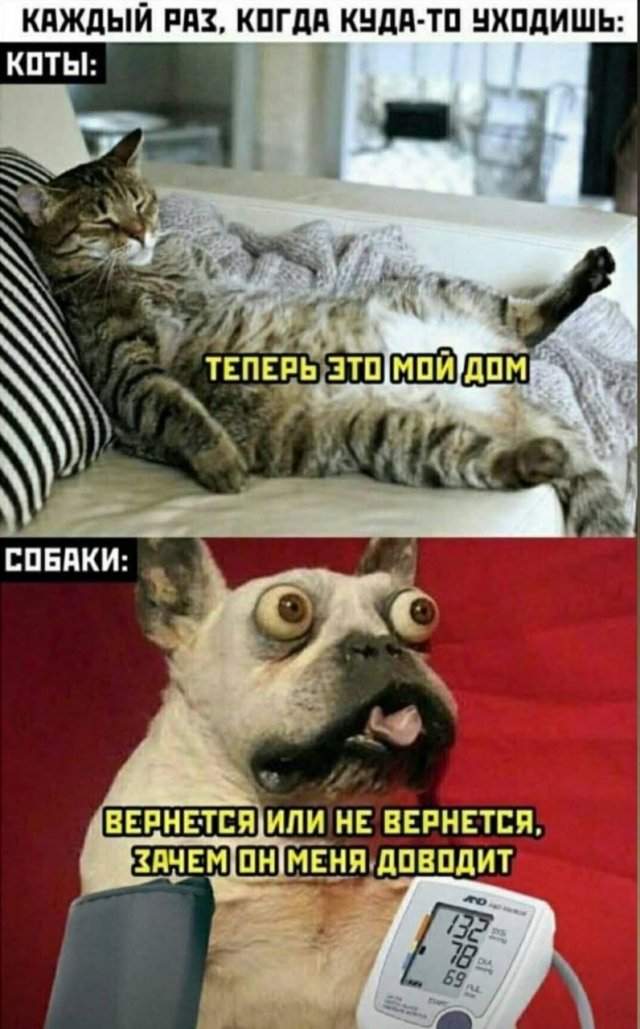 Лучшие шутки и мемы из Сети - 07.09.2022