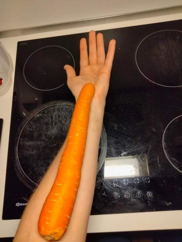 Человеческая рука и очень длинная морковь