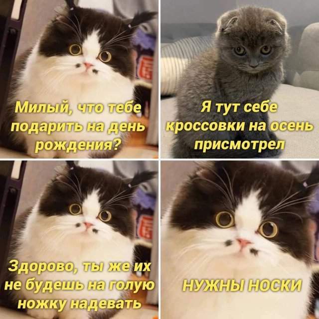 Лучшие шутки и мемы из Сети - 26.09.2022