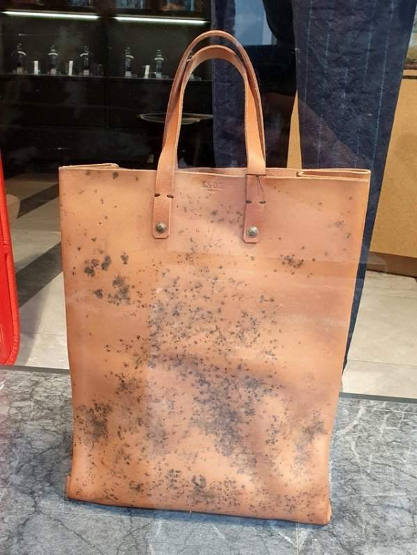 Очень дорогая сумка, которая выглядит так, будто на ней плесень