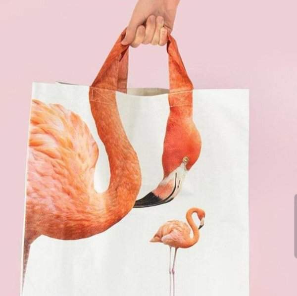 Бедный задушенный фламинго