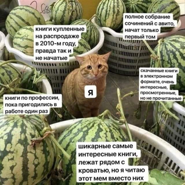 Лучшие шутки и мемы из Сети - 28.09.2022