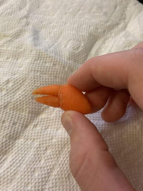 Маленькая морковка, которая выглядит как клешня краба