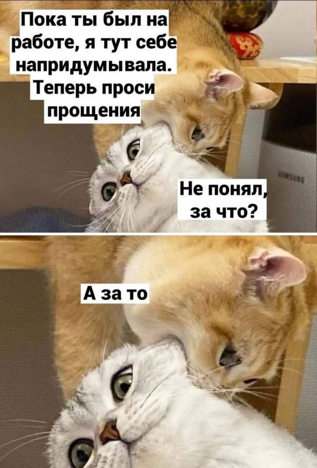 Лучшие шутки и мемы из Сети - 03.10.2022
