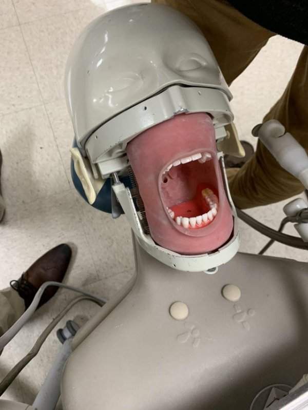 Тренажёр для обучения стоматологов
