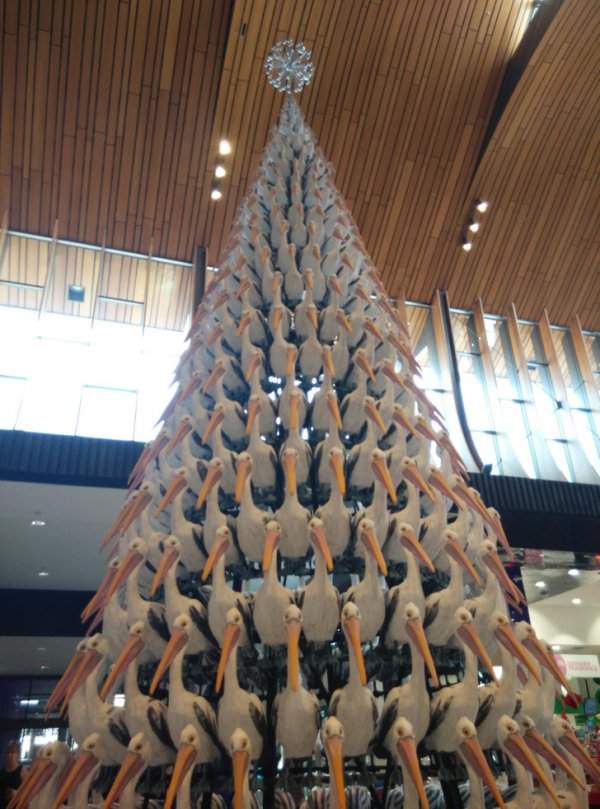 Рождественская елка, сделанная из пеликанов