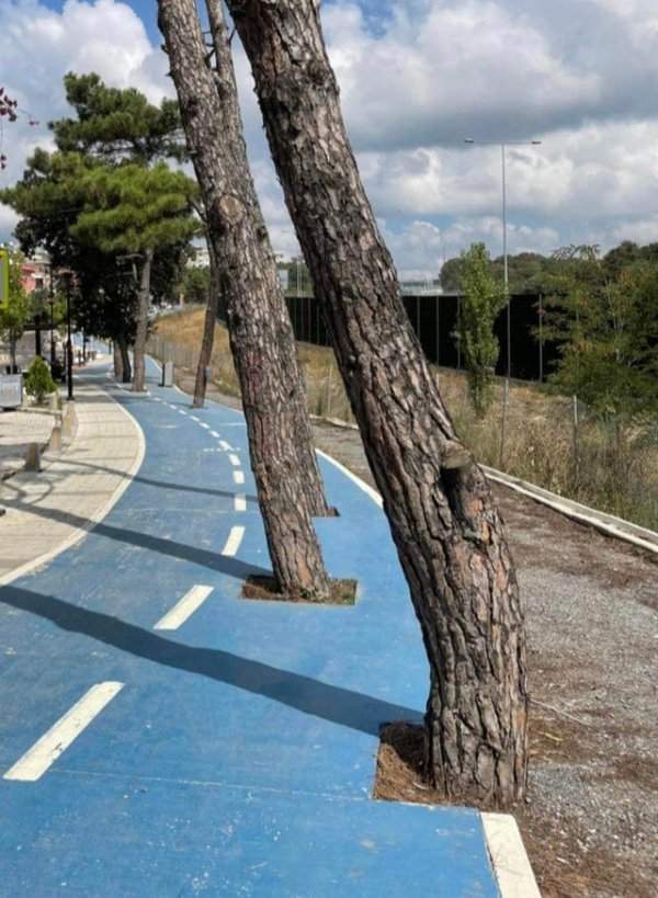 Велосипедная дорожка, которая делает вас единым целым с природой