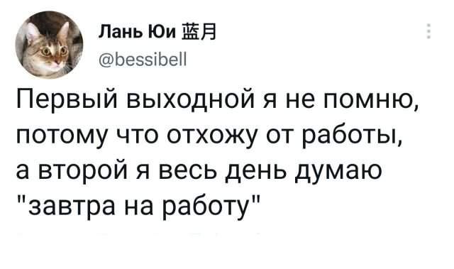 Подборка забавных твитов обо всем