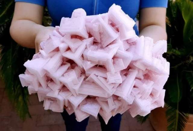 Гроздь розового хрусталя на самом деле является солью! Эта розовая соль сформировалась в целые и неповрежденные кристаллы