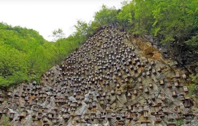Это кладбище вымершего народа Бо, который был этническим меньшинством Сычуани и Юньнани в Китае. Около 100 деревянных гробов были прикреплены к кольям, вбитым в скалу