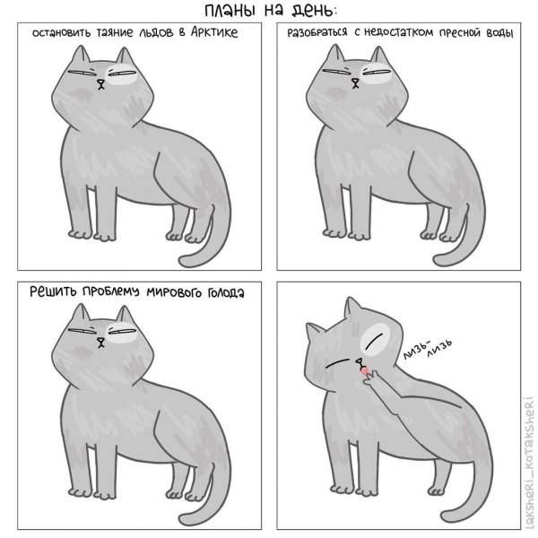 Подборка забавных комиксов про котов