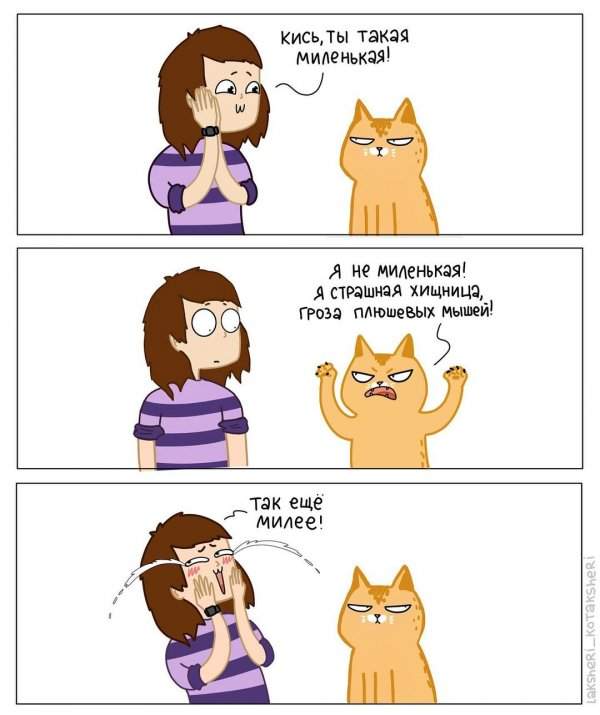 Подборка забавных комиксов про котов