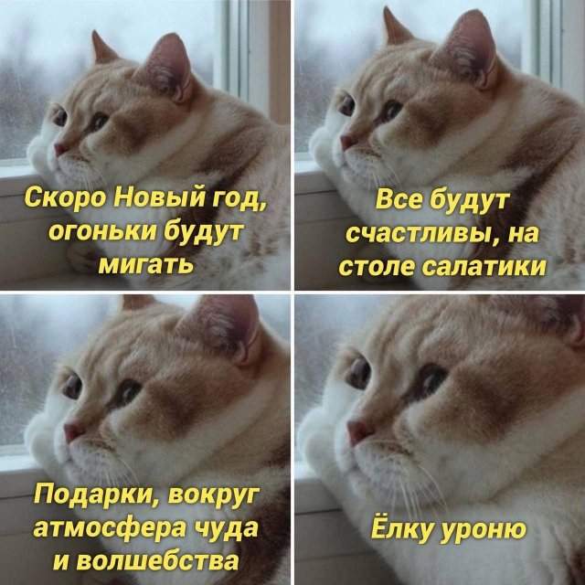 Лучшие шутки и мемы из Сети - 14.10.2022