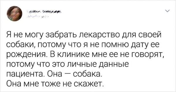 Подборка забавных твитов от девушек