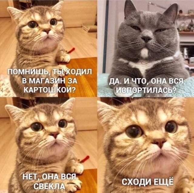 Лучшие шутки и мемы из Сети - 02.11.2022