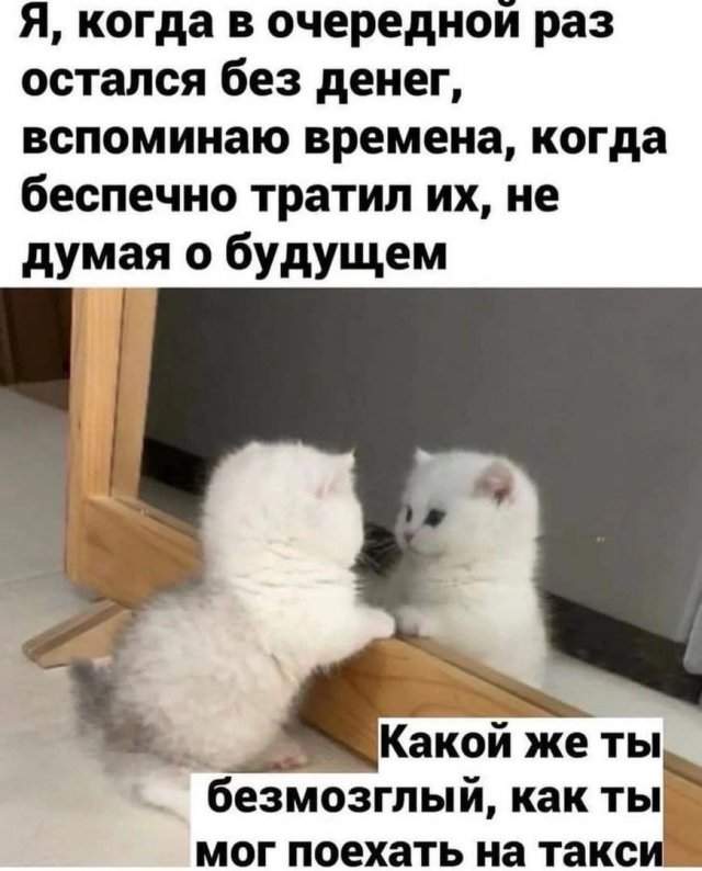 Лучшие шутки и мемы из Сети - 04.11.2022