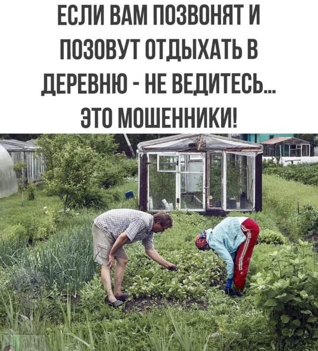 Лучшие шутки и мемы из Сети - 07.11.2022
