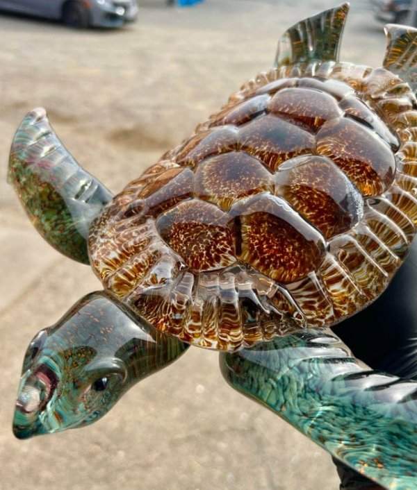 Стеклянная черепаха