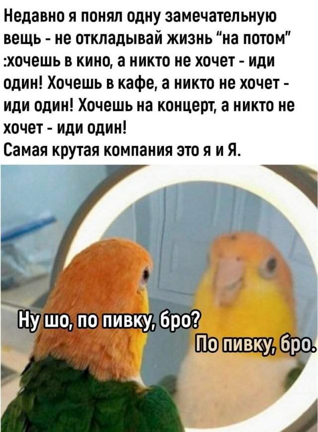Лучшие шутки и мемы из Сети - 08.11.2022