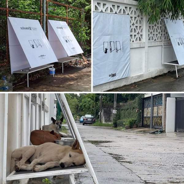 Компания Stand For Strays Thailand запустила складные приюты для бездомных собак