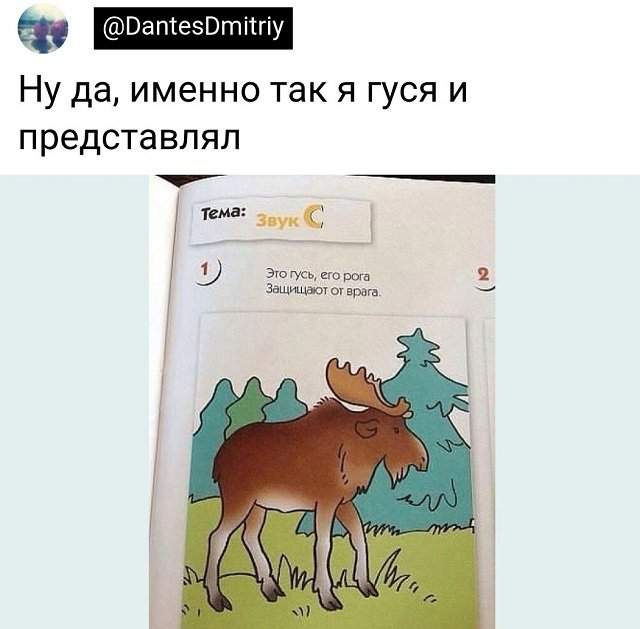 Подборка забавных твитов обо всем Подборка забавных твитов обо всем