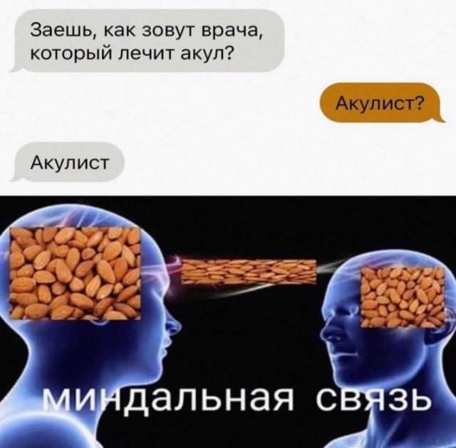 Лучшие шутки и мемы из Сети - 21.11.2022