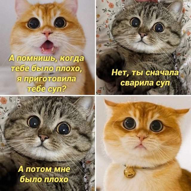Лучшие шутки и мемы из Сети - 21.11.2022