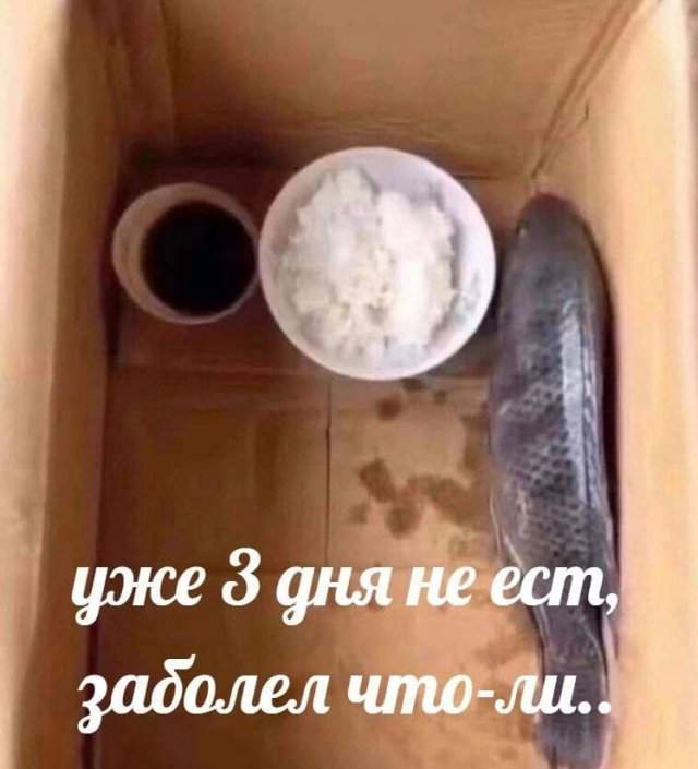 Немного странный и черный юмор