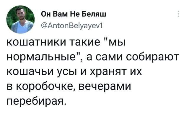 Подборка забавных твитов обо всем