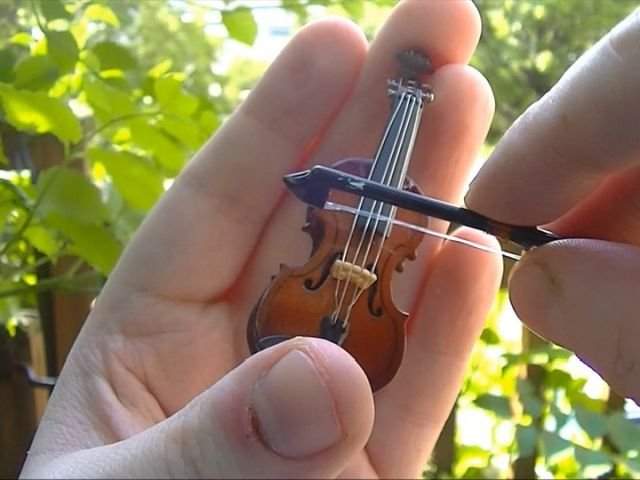 Наверняка, одна из самых маленьких скрипок в мире