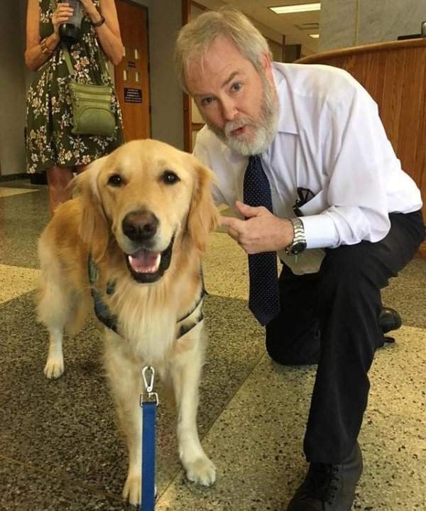 Собачка по кличке Джорди — настоящее успокоительное лекарство для деток в зале суда