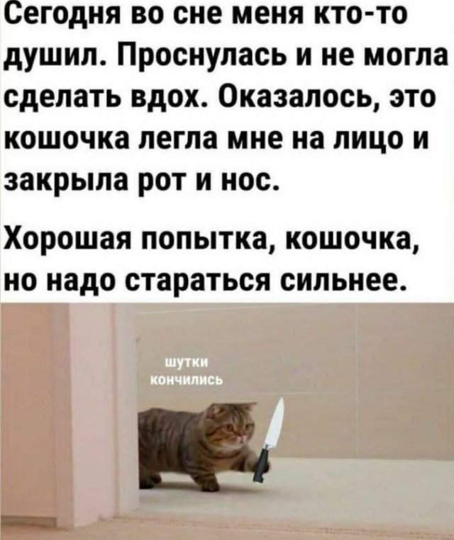 Лучшие шутки и мемы из Сети - 07.12.2022